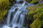 USA-Washington State-Olympic National Park Cedar Creek cascades through moss- covered boulders Art Print